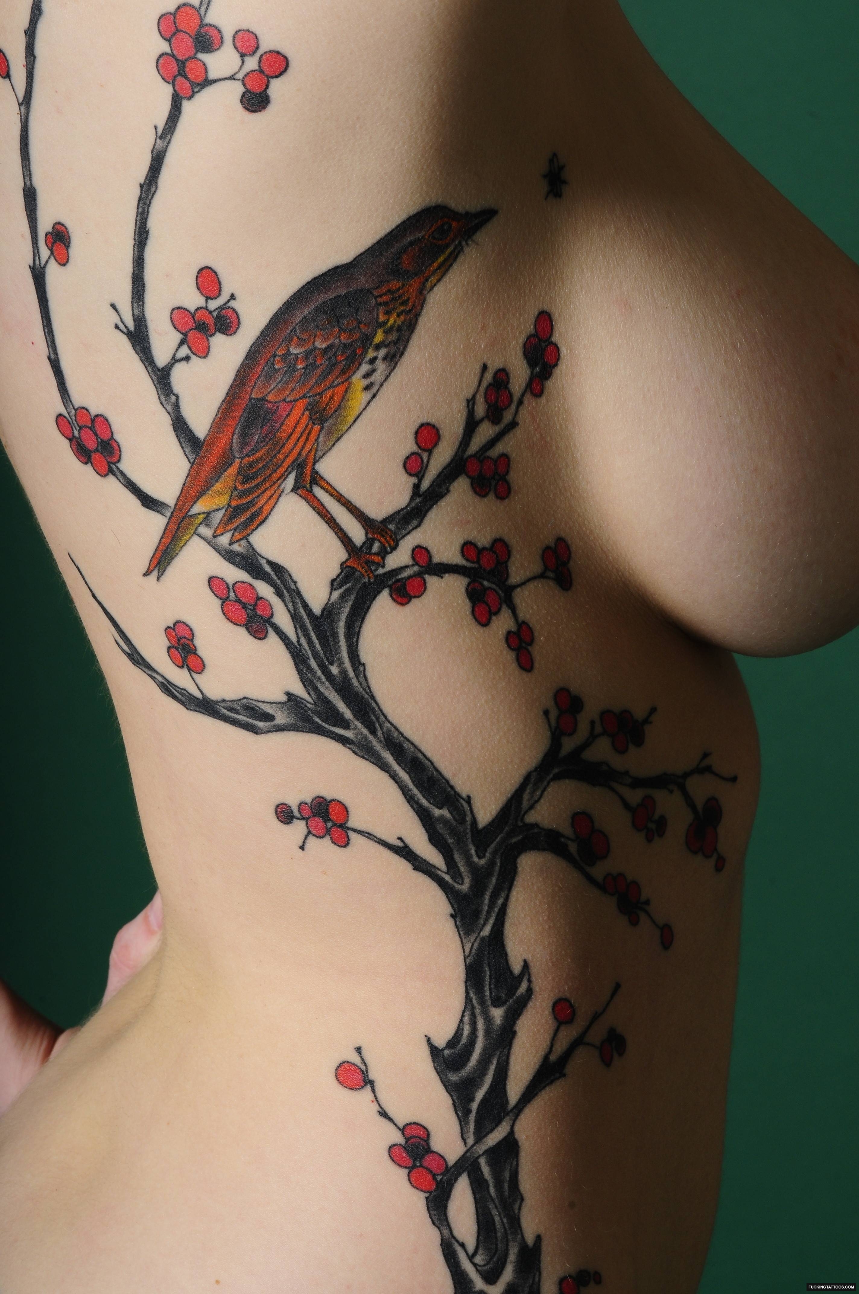 Large Image Of A Lovely Cherry Blossom Tattoo On What I Presume Is The Side Of A Hot Chick!